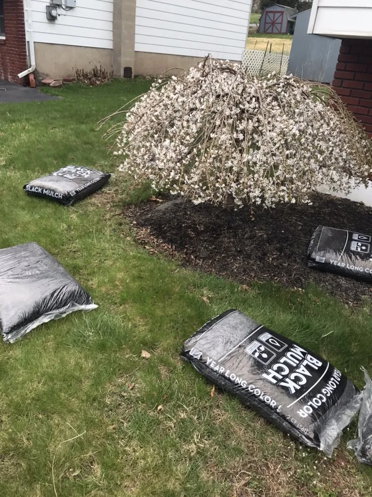 Local residential landscaping for beautiful yards in Exeter Township, PA by Ciaston Lawncare