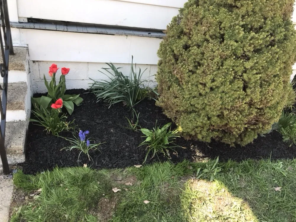 Local landscaping services for beautiful yards across Exeter Township, PA - Ciaston Lawncare