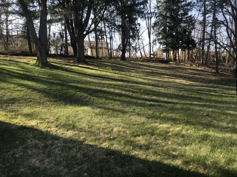 Local yard cleanup service for residential properties in Exeter Township, PA by Ciaston Lawncare
