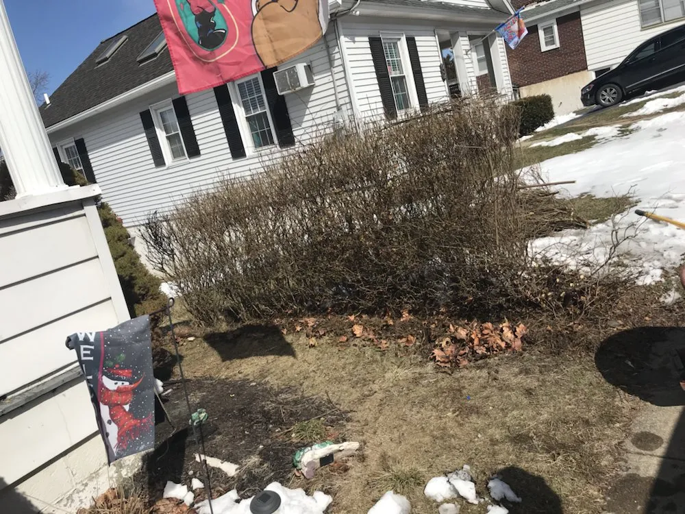 Trusted lawn mowing service with custom design in Exeter Township, PA by Ciaston Lawncare
