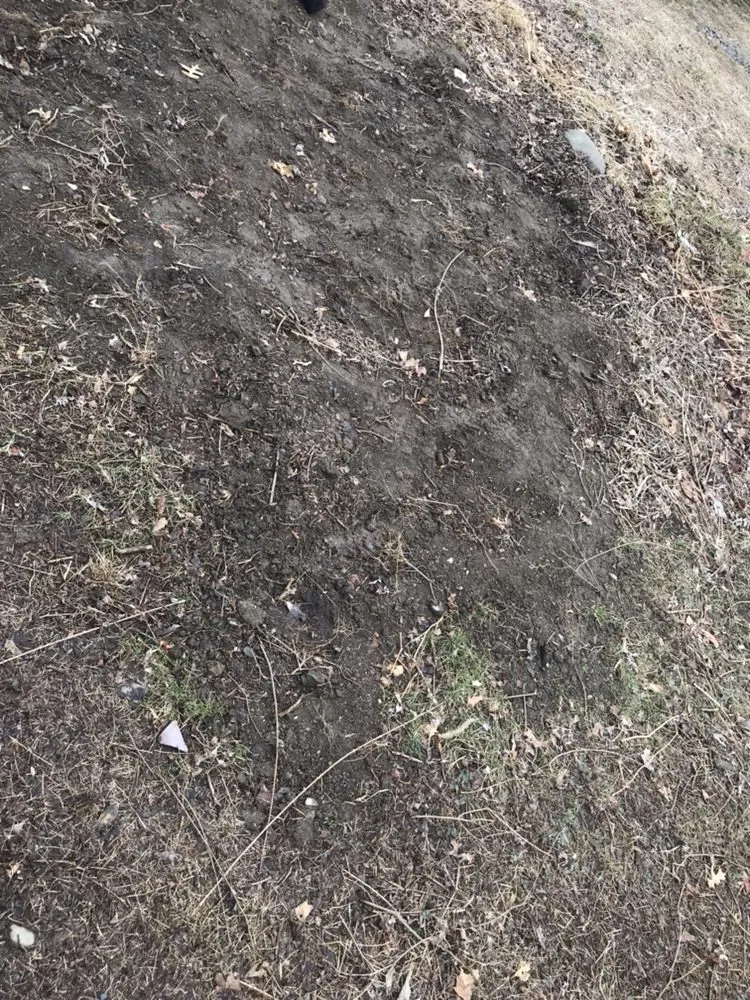 Expert garden landscaping for residential properties in Exeter Township, PA by Ciaston Lawncare
