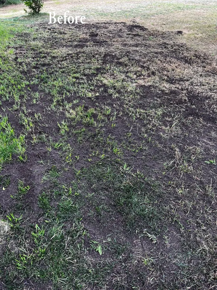 Local yard maintenance for year-round maintenance in Marion, TX by Cibolo Creek Services