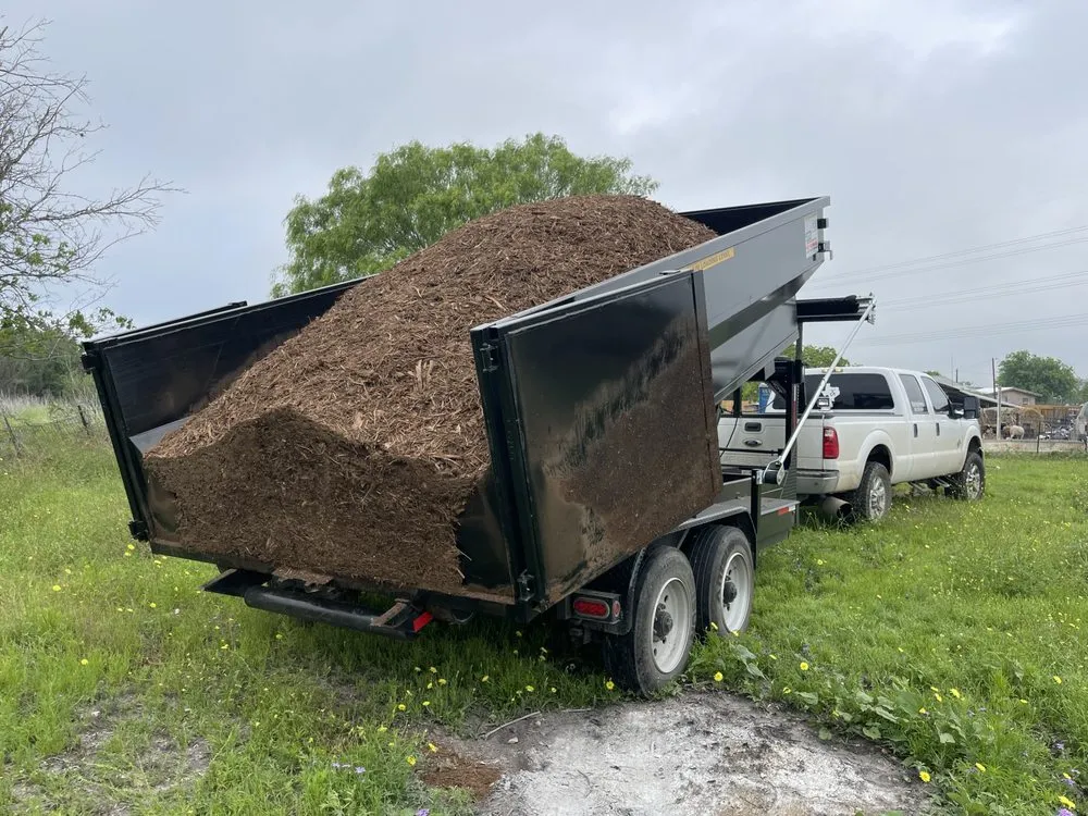 Affordable landscaping services in Marion, TX - Cibolo Creek Services