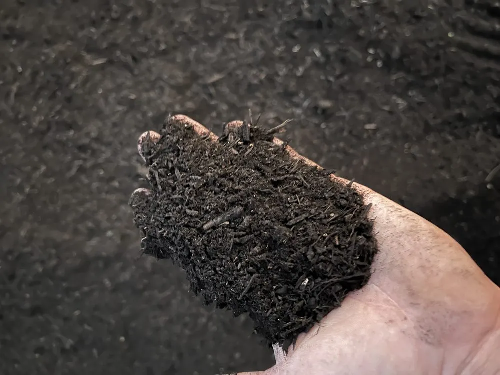 Affordable landscaping services in Marion, TX - Cibolo Creek Services