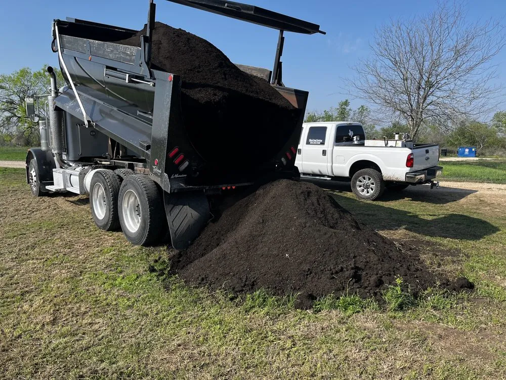 Expert landscape installation in Marion, TX by Cibolo Creek Services