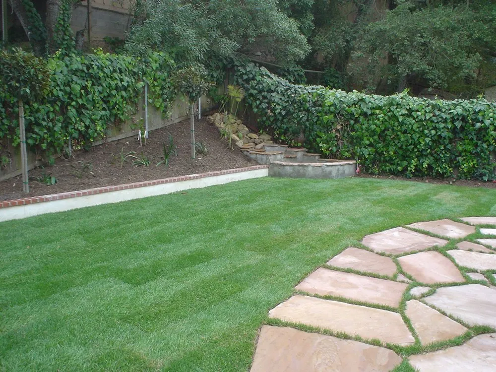 Affordable yard maintenance in Santa Barbara, CA - Cicileo Landscapes