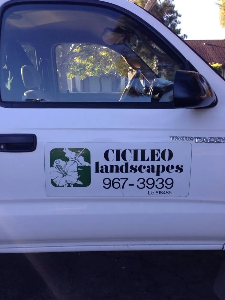 Reliable yard cleanup service in Santa Barbara, CA by Cicileo Landscapes