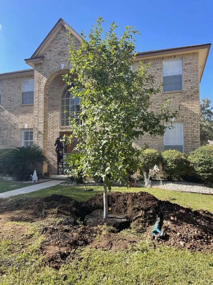 Custom lawn mowing service in San Antonio, TX by Cielo Irrigation and Landscape