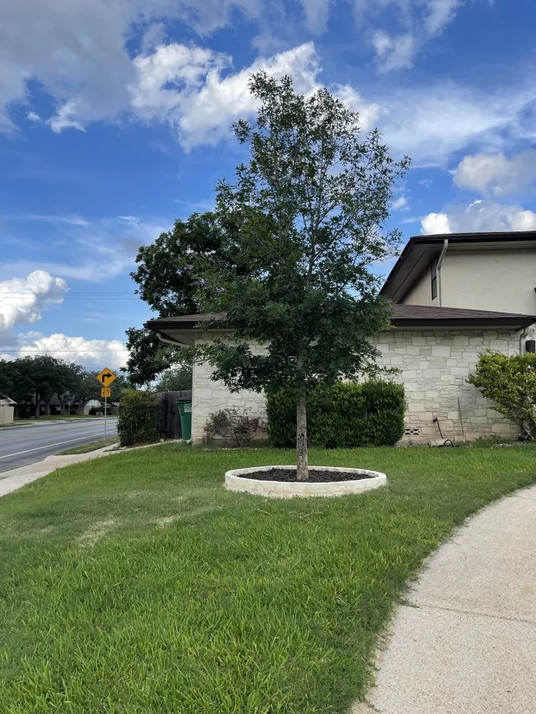 Local garden landscaping experts serving San Antonio, TX - Cielo Irrigation and Landscape