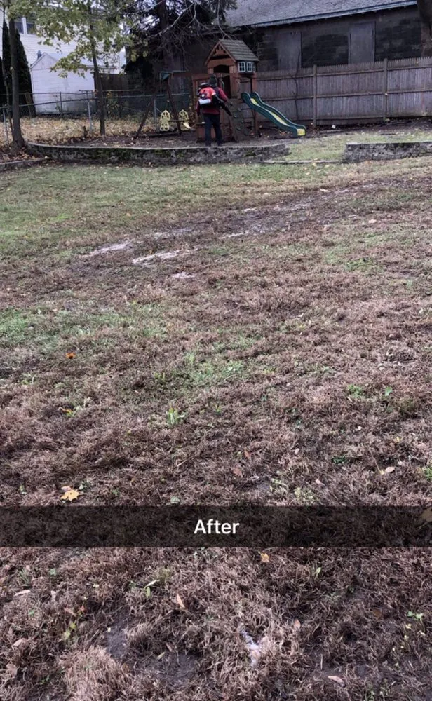 Reliable landscape design for homes in Saugus, MA by Cieri’s Landscaping