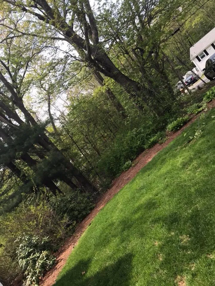 Reliable landscape design in Saugus, MA - Cieri’s Landscaping