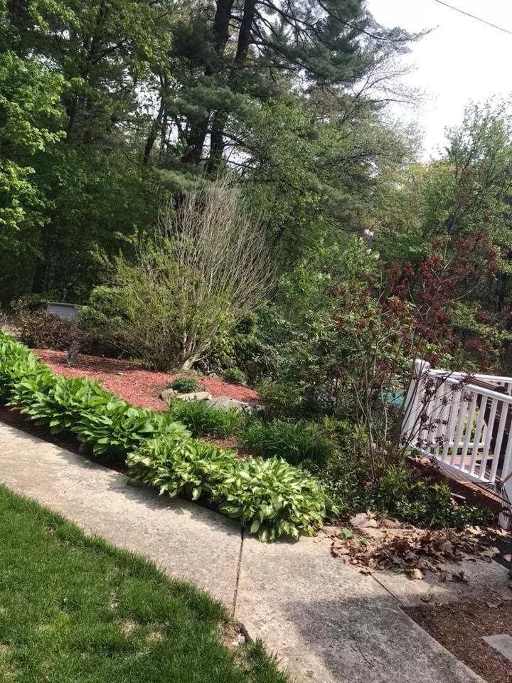 Expert residential landscaping for residential properties across Saugus, MA - Cieri’s Landscaping