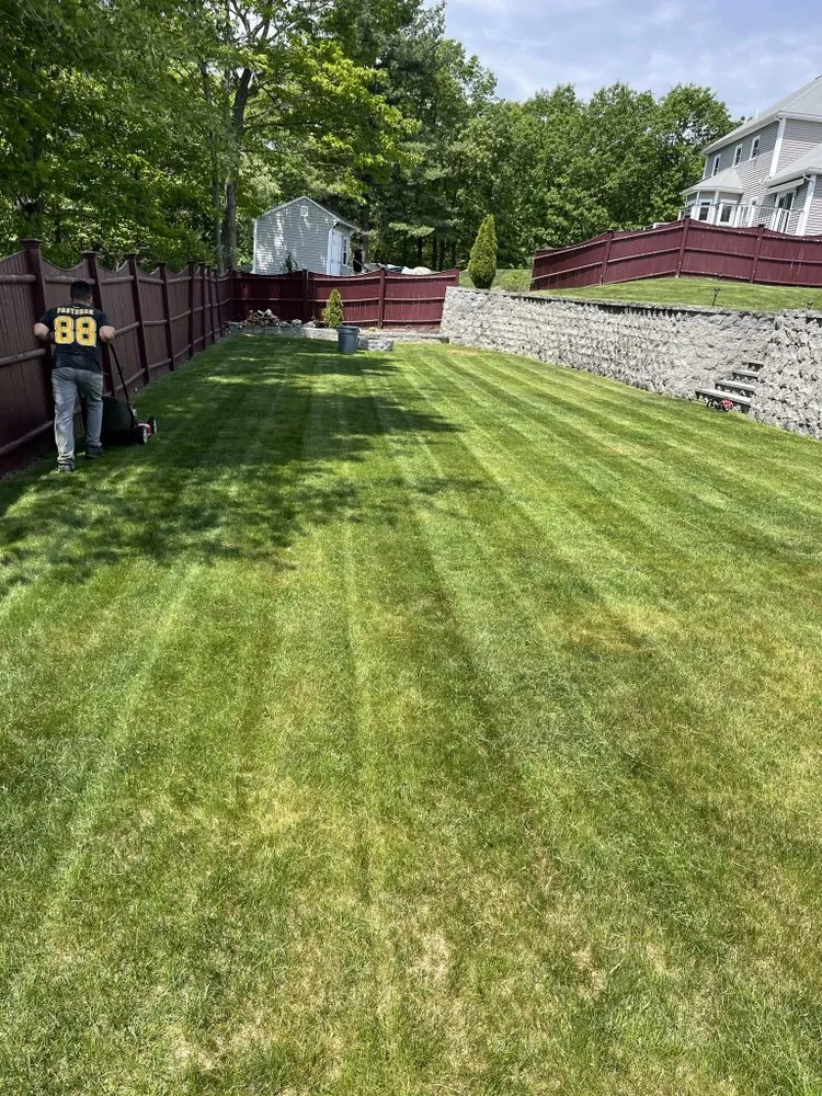 Local yard cleanup service experts serving Saugus, MA - Cieri’s Landscaping