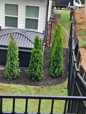 Cifuentes Hardscapes & Landscapes Logo