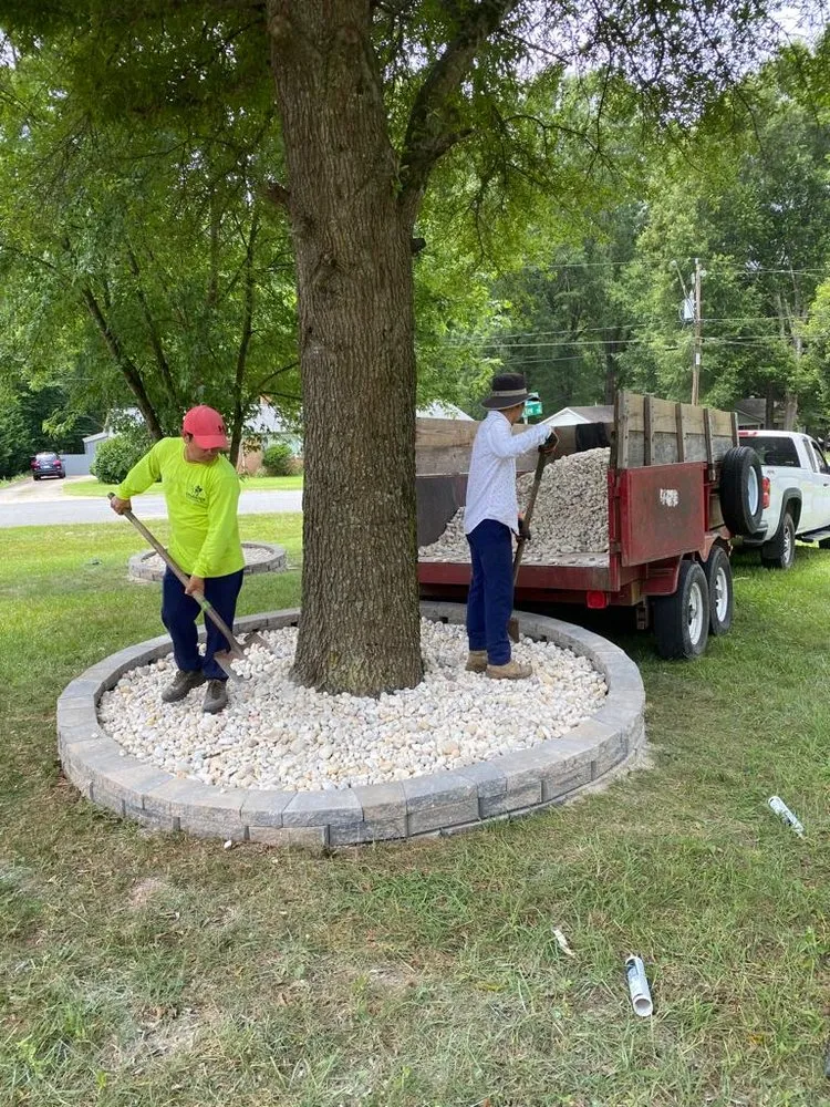 Professional yard cleanup service in Charlotte, NC by Cifuentes Landscaping