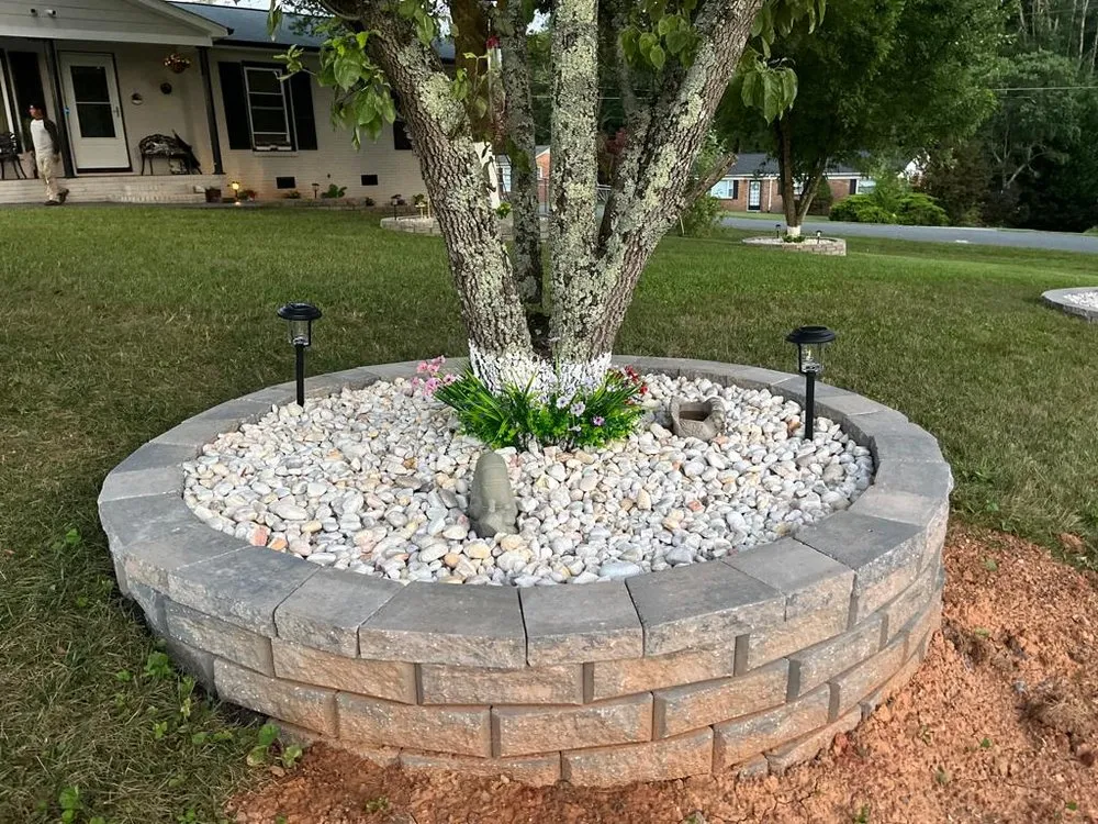 Trusted landscaping services for year-round maintenance across Charlotte, NC - Cifuentes Landscaping