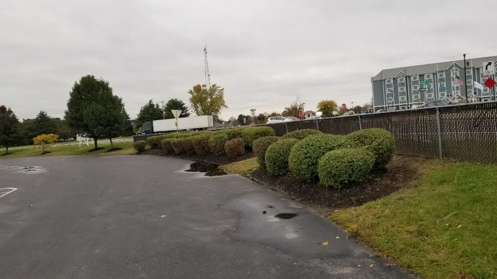 Affordable outdoor landscaping for beautiful yards across Millsboro, DE - Cifuentes Landscaping LLC