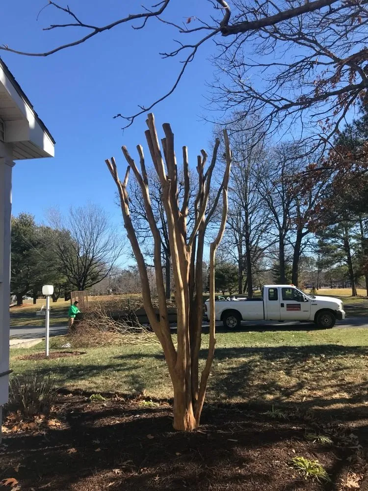 Trusted outdoor landscaping for homes in Millsboro, DE by Cifuentes Landscaping LLC
