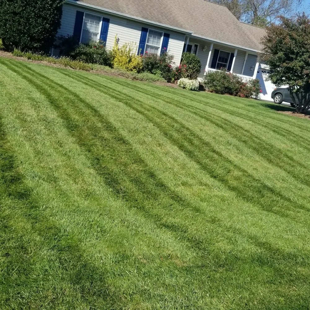 Local residential landscaping experts serving Millsboro, DE - Cifuentes Landscaping LLC