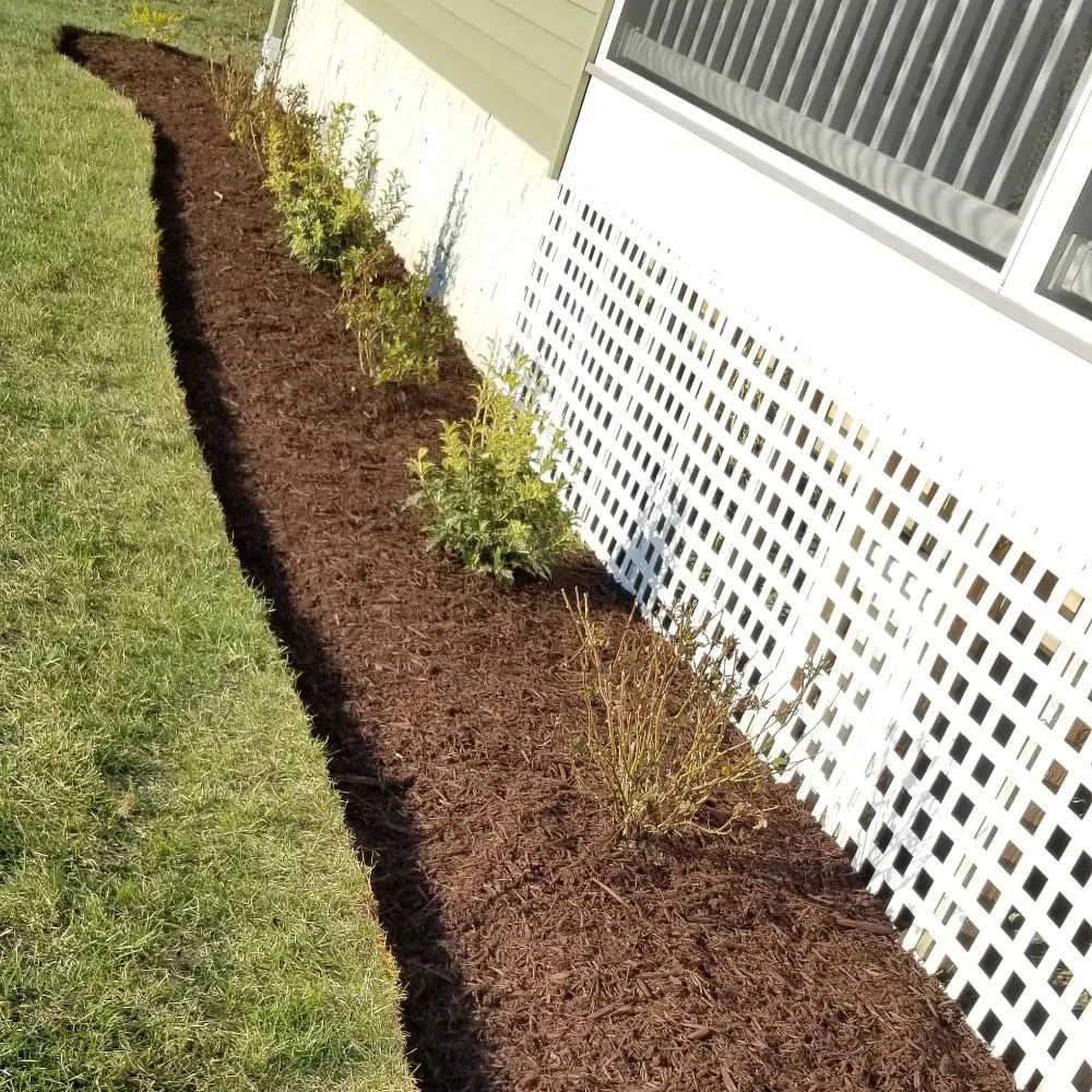 Local landscaping services in Millsboro, DE by Cifuentes Landscaping LLC