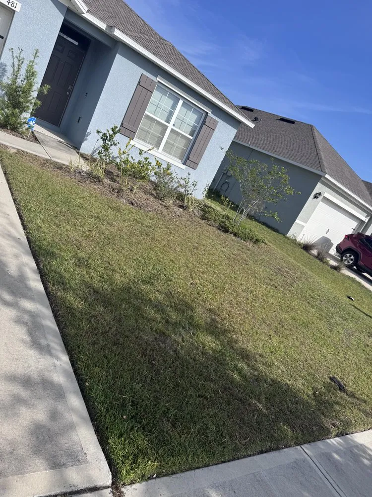 Local yard cleanup service in Davenport, FL by Cigo Solutions