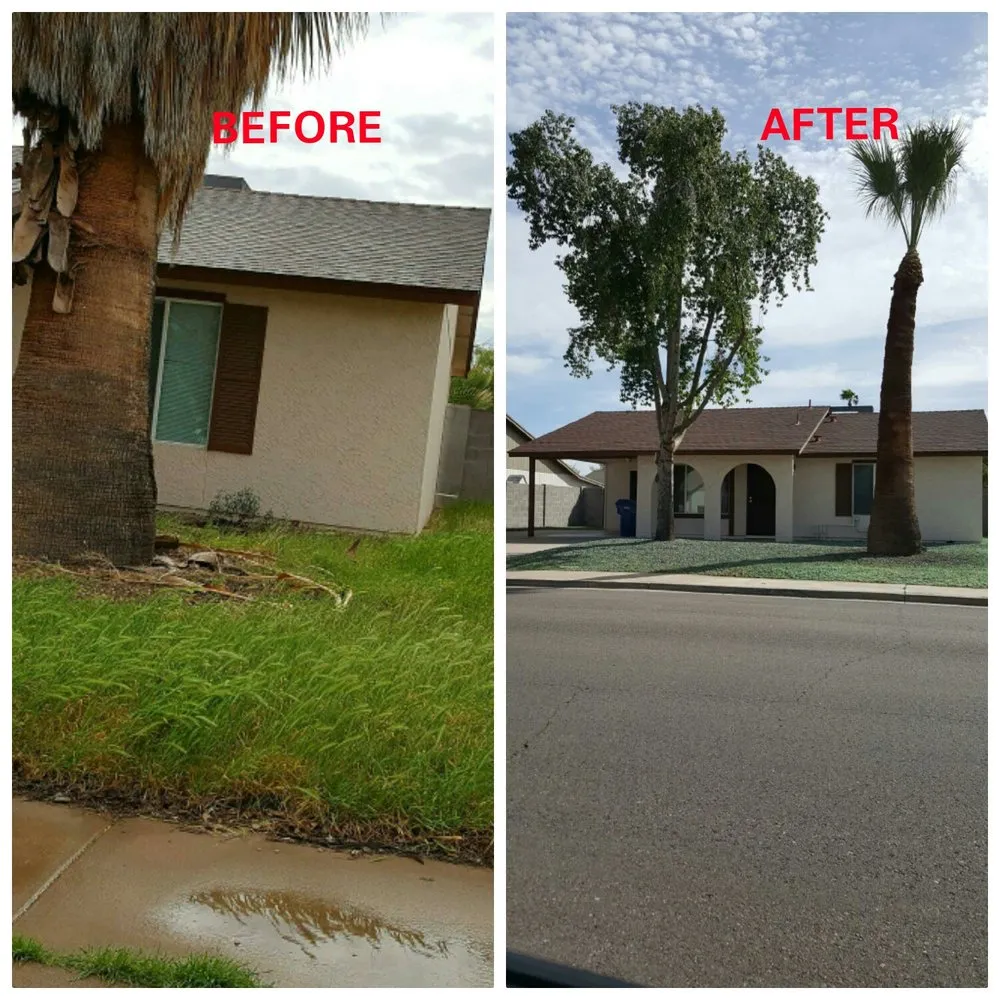 Local landscaping services for year-round maintenance in Mesa, AZ by CIK Landscaping