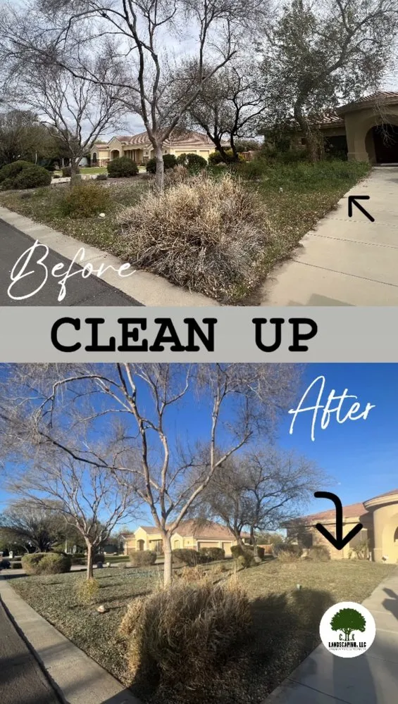 Expert residential landscaping for homes in Mesa, AZ by CIK Landscaping