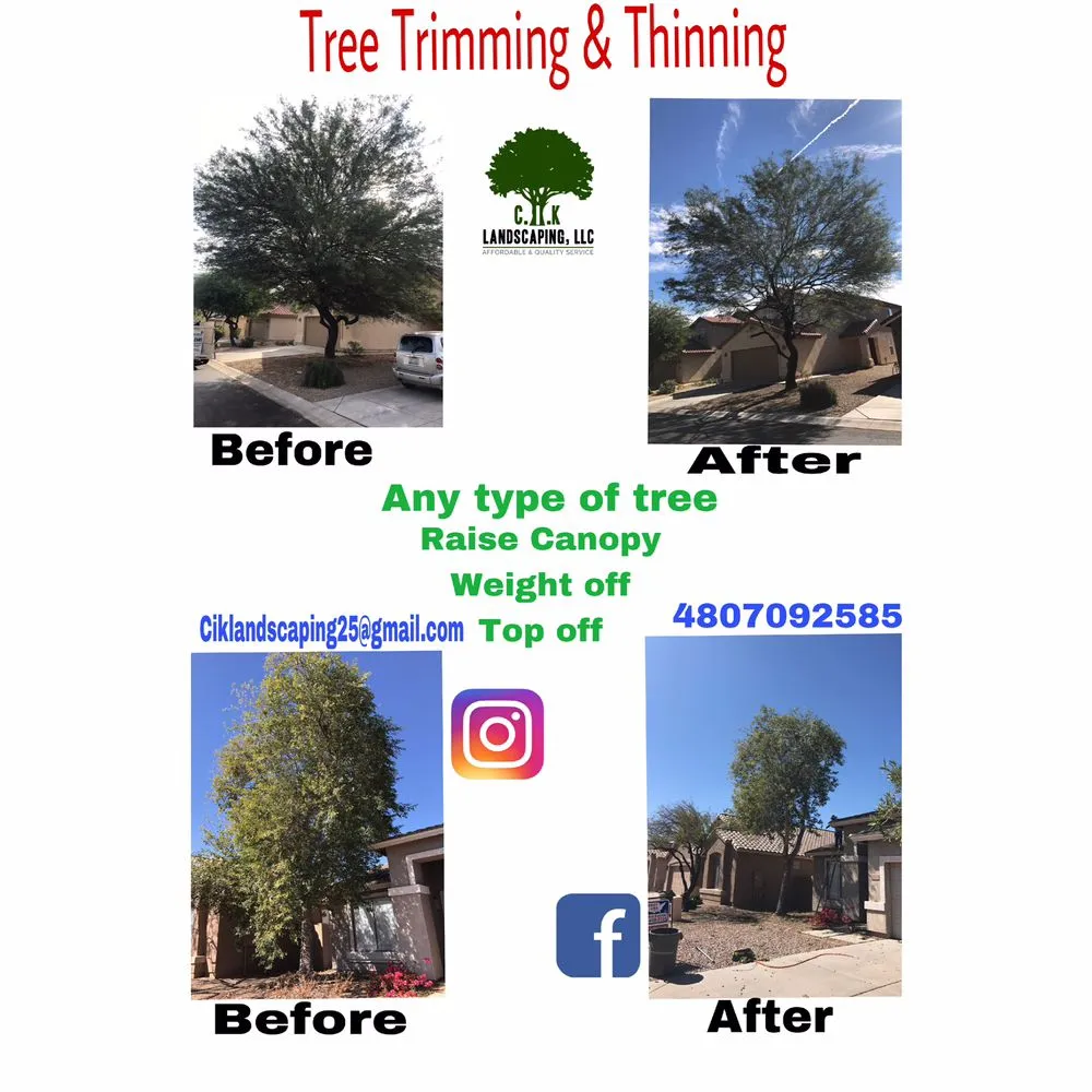 Expert lawn mowing service experts serving Mesa, AZ - CIK Landscaping