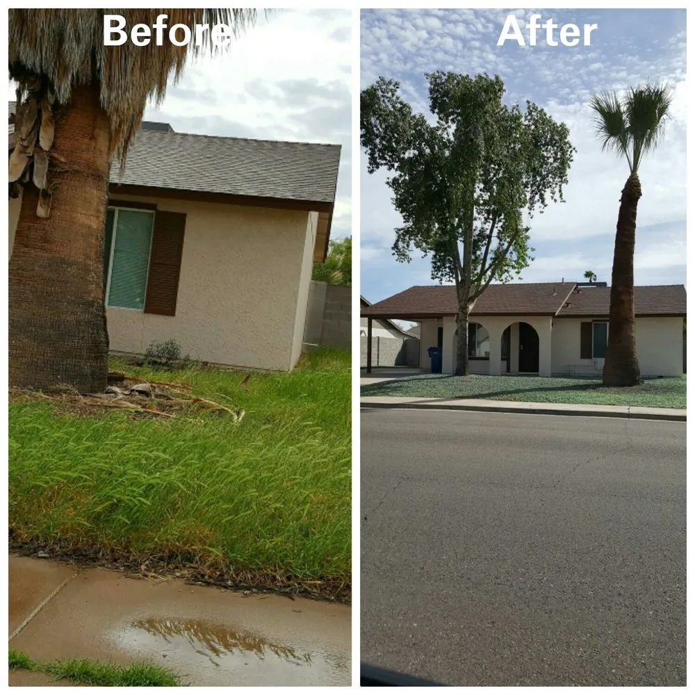 Top-rated landscape installation in Mesa, AZ - CIK Landscaping