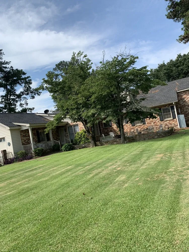 Trusted lawn care service in Saint Matthews, SC - Cillo Lawncare