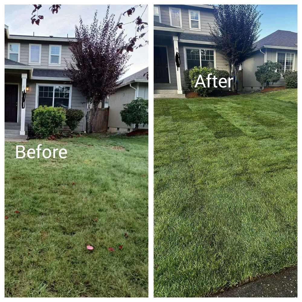 Local yard maintenance for year-round maintenance in Shelton, WA by Cimea Landscaping Construction