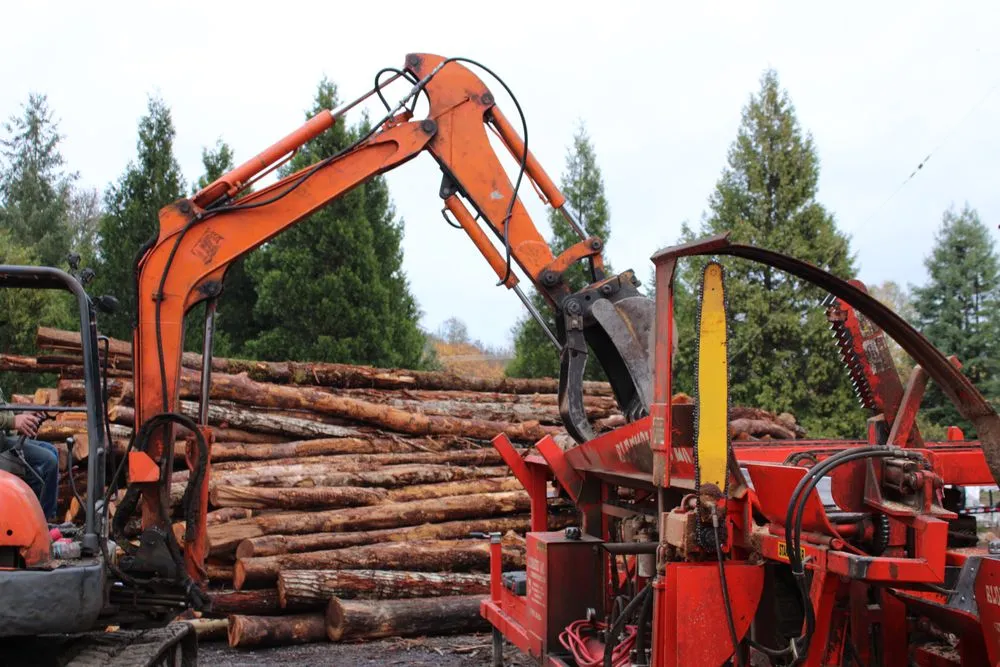 Trusted garden landscaping in Glendale, OR by CIMFL Landscape Maintenance and Tree Service