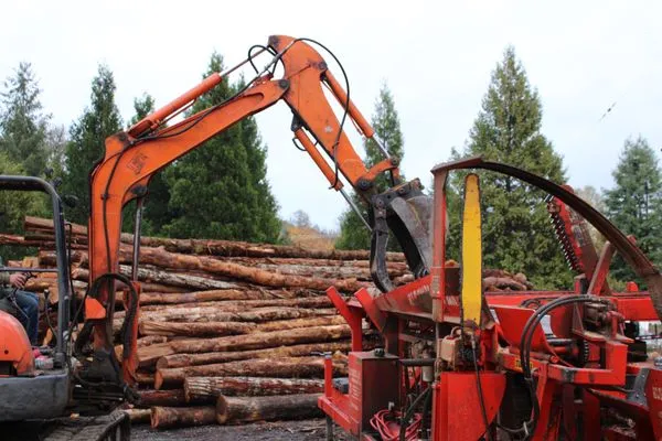 CIMFL Landscape Maintenance and Tree Service Logo