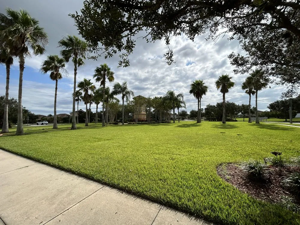 Reliable yard maintenance in New Smyrna Beach, FL - Cimiluca Pest