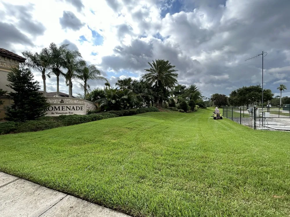 Top-rated lawn mowing service in New Smyrna Beach, FL by Cimiluca Pest