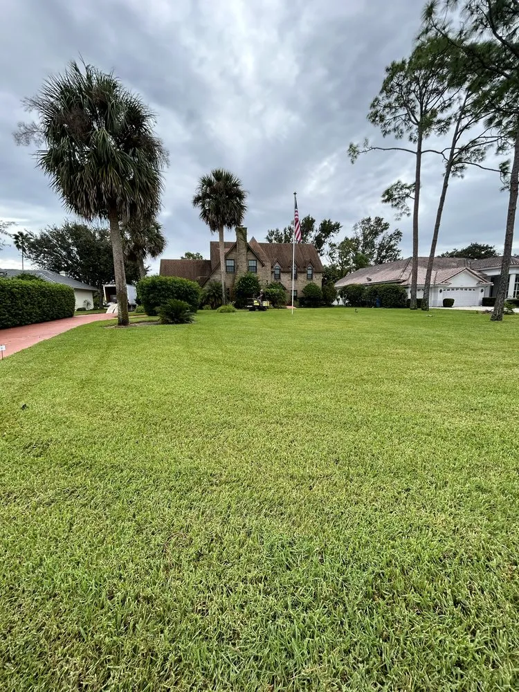 Expert lawn care service with custom design across New Smyrna Beach, FL - Cimiluca Pest