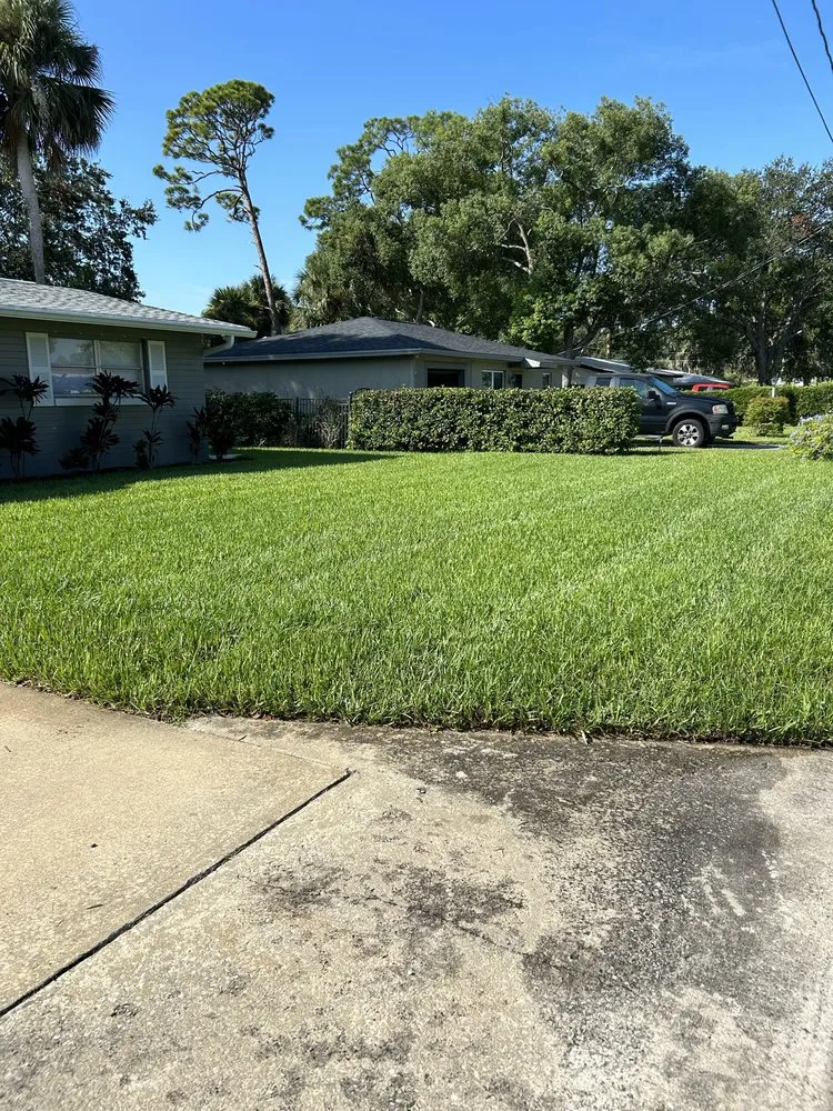 Expert outdoor landscaping for beautiful yards across New Smyrna Beach, FL - Cimiluca Pest