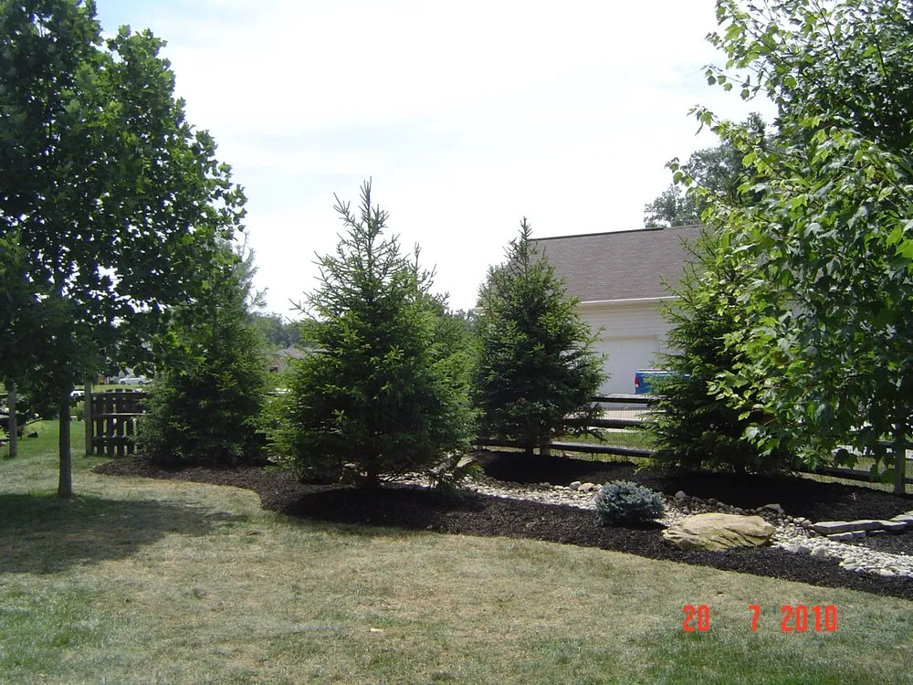 Top-rated yard cleanup service for outdoor upgrades in Batavia, OH by Cincinnati Evergreen