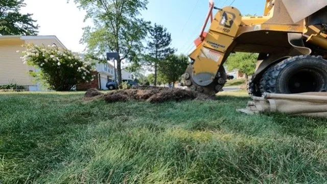 Expert residential landscaping experts serving Fort Thomas, KY - Cincinnati Stump Grinding