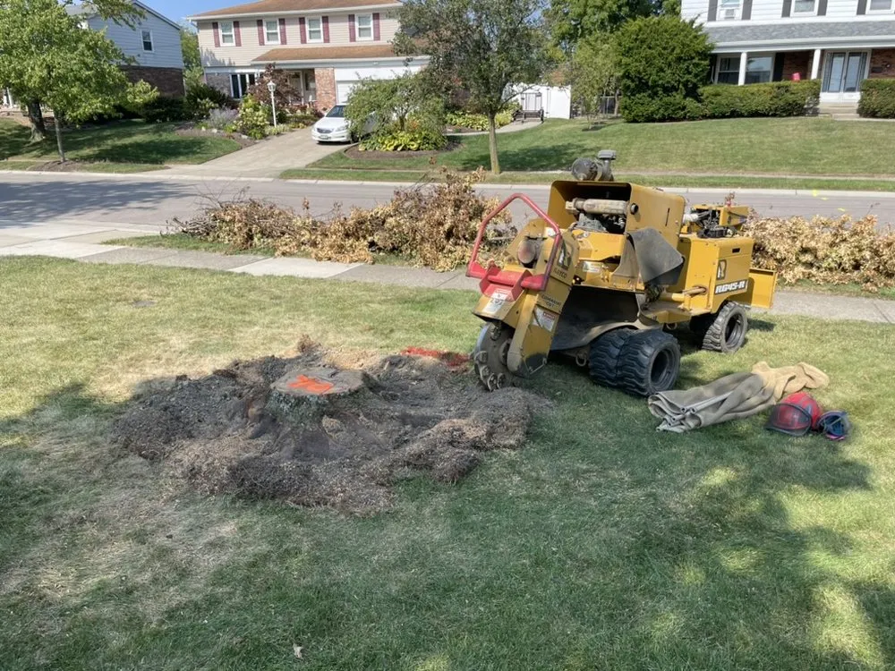 Reliable residential landscaping in Fort Thomas, KY - Cincinnati Stump Grinding