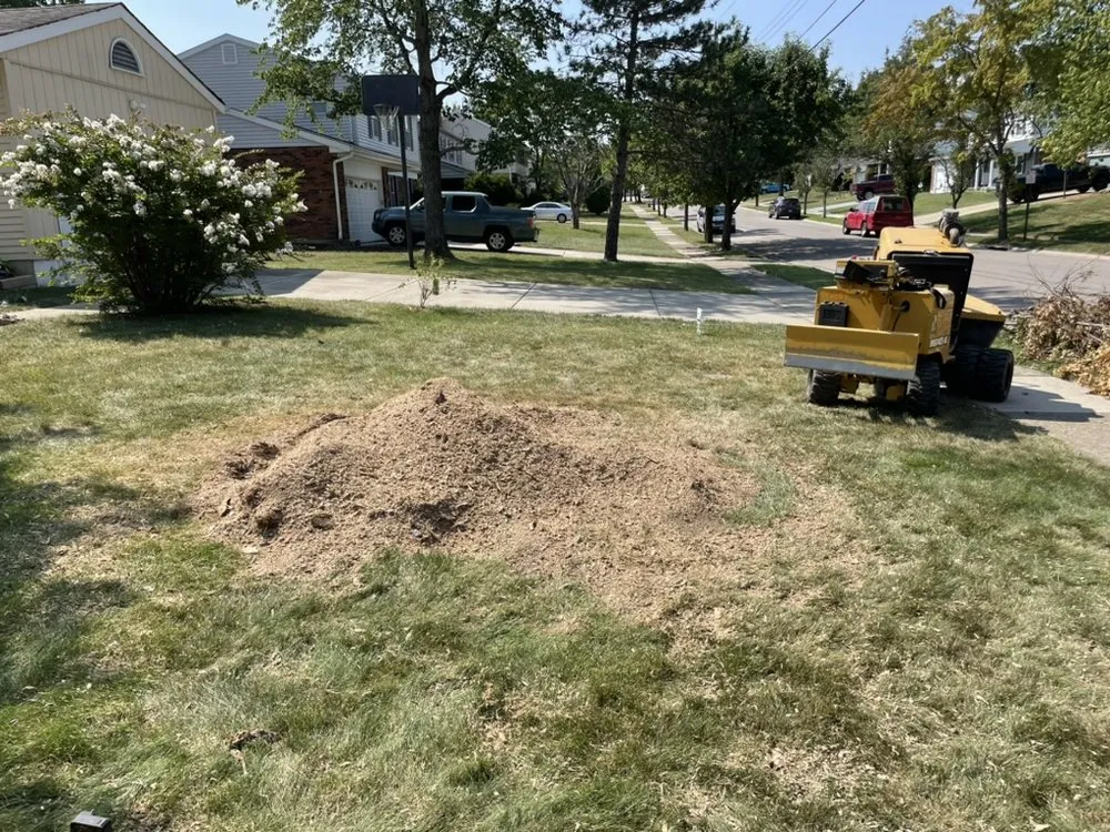 Top-rated garden landscaping near you across Fort Thomas, KY - Cincinnati Stump Grinding