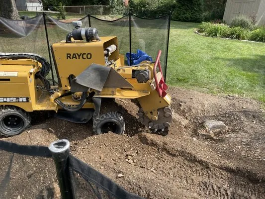 Cincinnati Stump Grinding