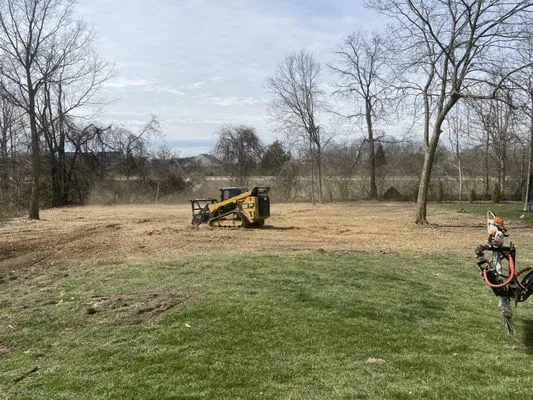 Cincinnati’s Timber Logo