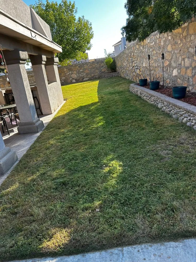 Affordable lawn care service experts serving El Paso, TX - Cinco Mosquetero