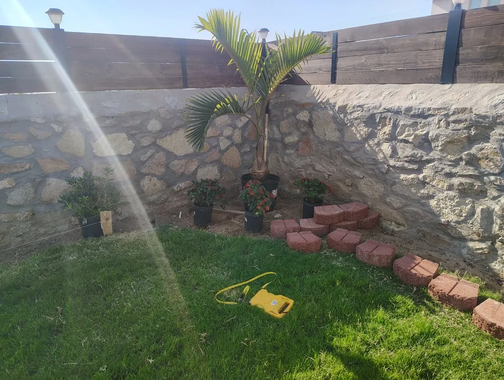Professional lawn mowing service in El Paso, TX - Cinco Mosquetero