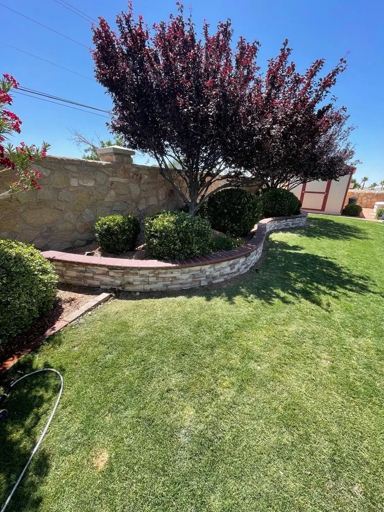 Professional outdoor landscaping experts serving El Paso, TX - Cinco Mosquetero