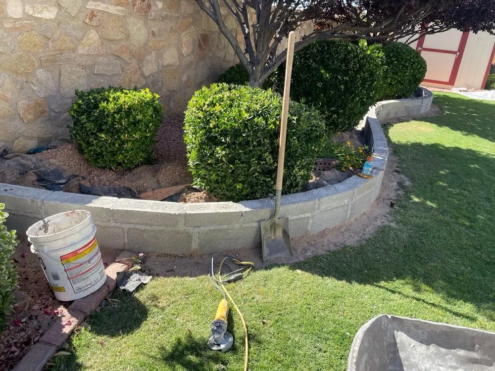 Affordable yard maintenance experts serving El Paso, TX - Cinco Mosquetero