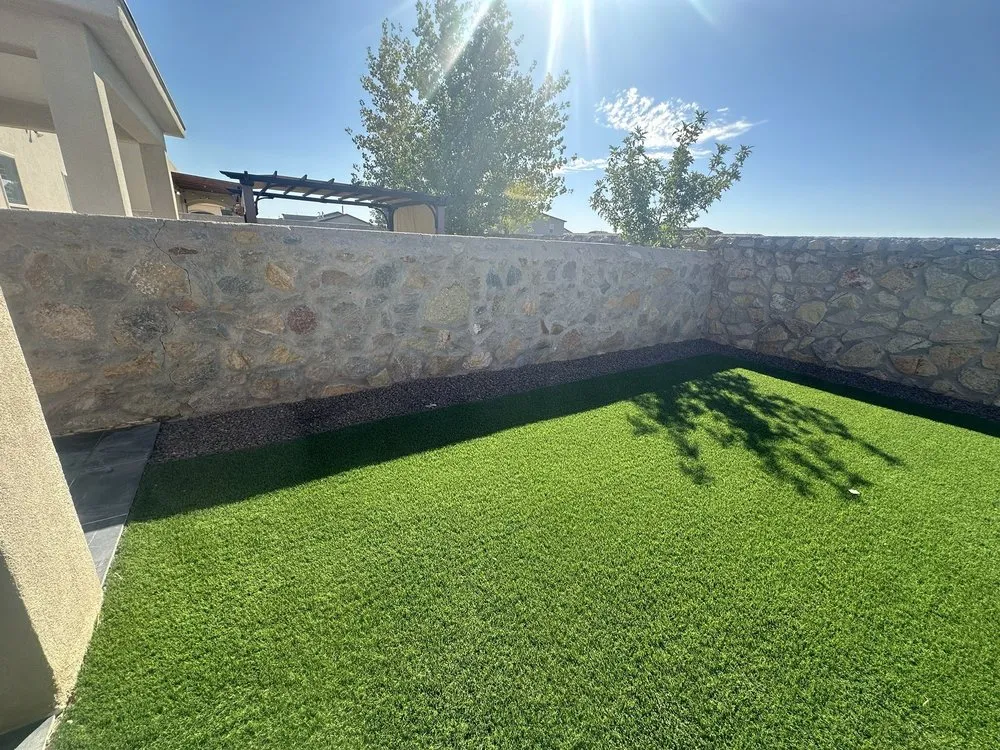 Local yard cleanup service in El Paso, TX by Cinco Mosquetero