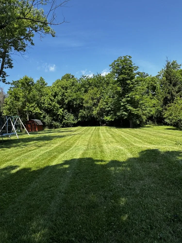 Affordable landscape installation experts serving Elmwood Place, OH - Cincy Lawn Care