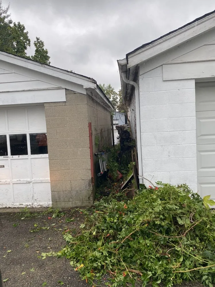 Affordable lawn care service experts serving Cincinnati, OH - Cincy Mow Blow & Go